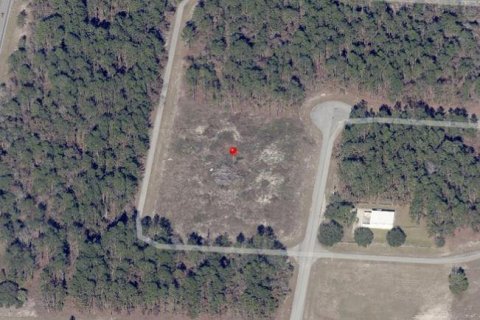 Land in Ocala, Florida № 1532522 - photo 6