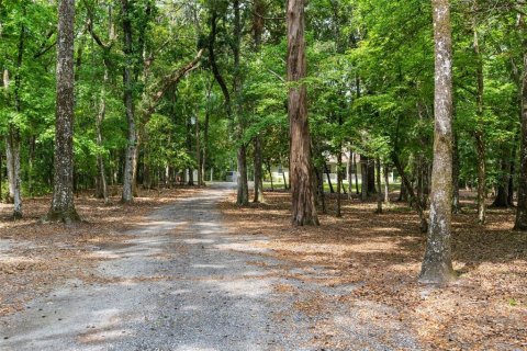 Casa en venta en Brooksville, Florida, 3 dormitorios, 202.06 m2 № 1679577 - foto 5