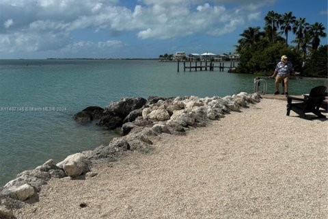 Снять в аренду кондоминиум в Марафон, Флорида 1 спальня, 69.12м2, № 1959532 - фото 5