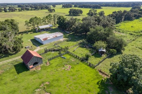 Terreno en venta en Webster, Florida № 1787395 - foto 17