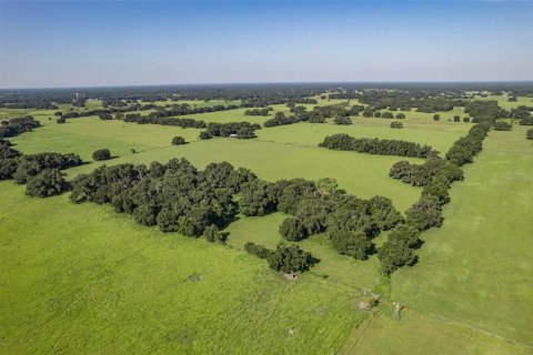 Terreno en venta en Webster, Florida № 1787395 - foto 22