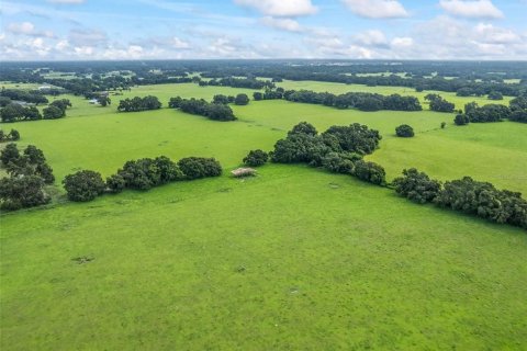 Terreno en venta en Webster, Florida № 1787395 - foto 10