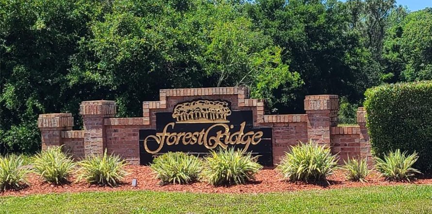 Land in Tarpon Springs, Florida № 1716723