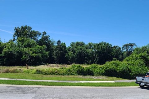 Land in Tarpon Springs, Florida № 1716723 - photo 2