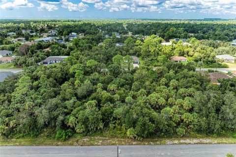 Land in North Port, Florida № 2165711 - photo 16