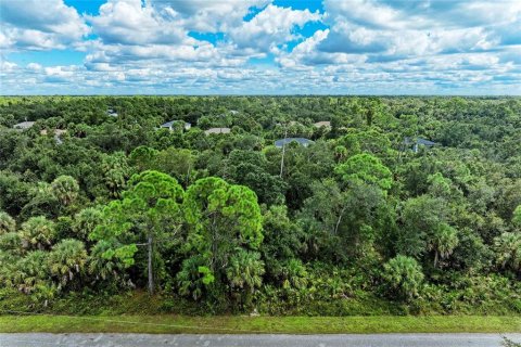 Land in North Port, Florida № 2165711 - photo 5