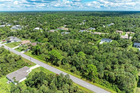Land in North Port, Florida № 2165711 - photo 10
