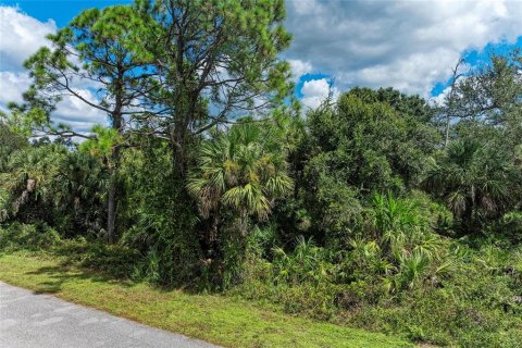 Land in North Port, Florida № 2165711 - photo 9