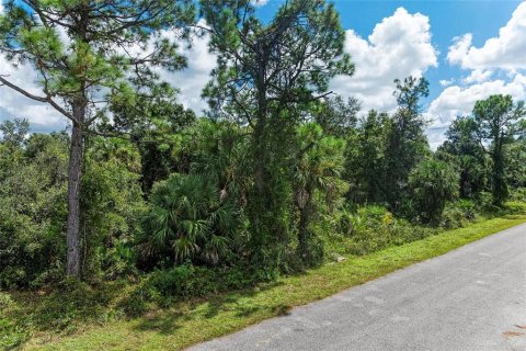 Land in North Port, Florida № 2165711 - photo 15