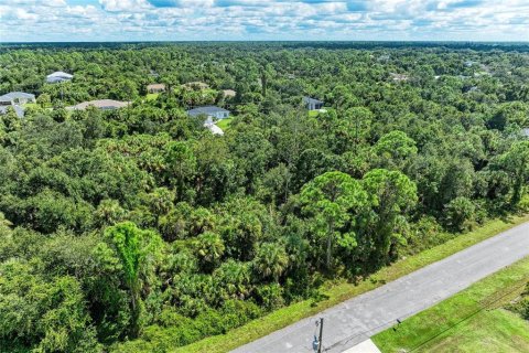 Land in North Port, Florida № 2165711 - photo 8