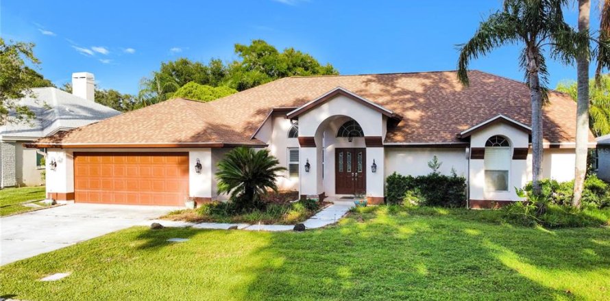 House in Palm Harbor, Florida 4 bedrooms, 258.45 sq.m. № 1830078