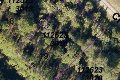 Land in North Port, Florida № 2164869 - photo 3