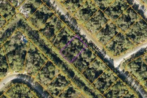 Land in North Port, Florida № 2164869 - photo 4