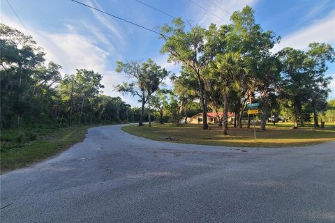 Land in Crystal River, Florida № 2377804 - photo 6