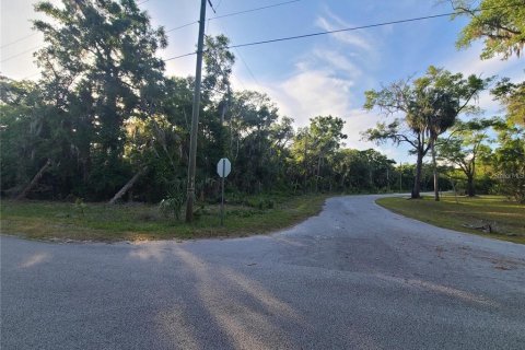 Land in Crystal River, Florida № 2377804 - photo 5