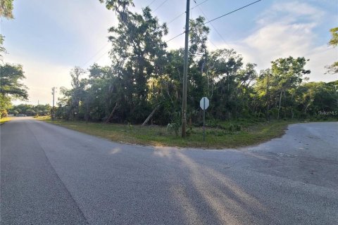 Land in Crystal River, Florida № 2377804 - photo 2