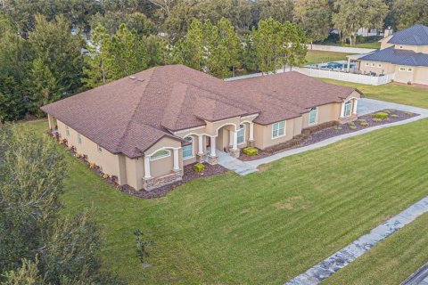 Villa ou maison à vendre à Dover, Floride: 4 chambres, 434.41 m2 № 2148053 - photo 2