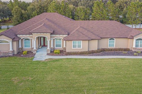 Villa ou maison à Dover, Floride 4 chambres, 434.41 m2 № 2148053