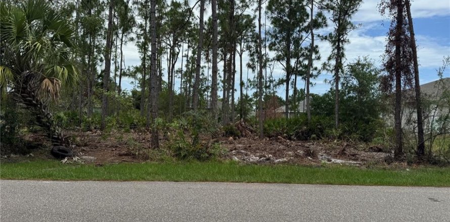 Terreno en Punta Gorda, Florida № 2213269