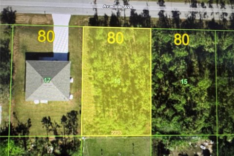 Terreno en venta en Punta Gorda, Florida № 2213269 - foto 2