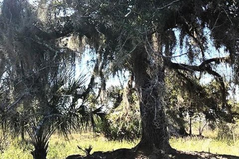 Terreno en venta en Lake Wales, Florida № 2235011 - foto 2