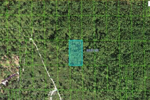 Terreno en Lake Wales, Florida № 2235011