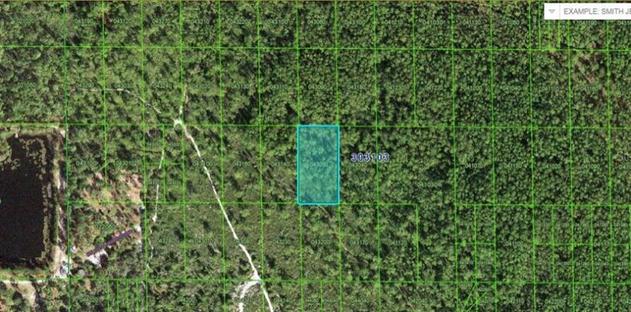 Terreno en Lake Wales, Florida № 2235011