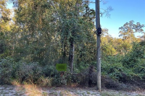 Land in Old Town, Florida № 2159081