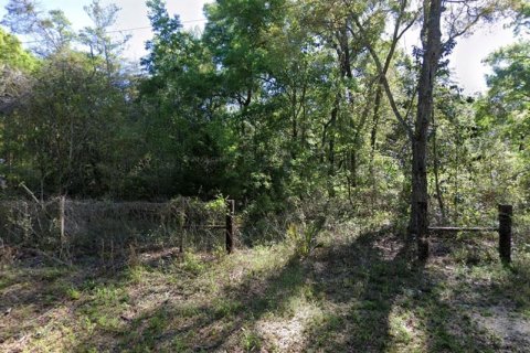 Land in Old Town, Florida № 2159081 - photo 2