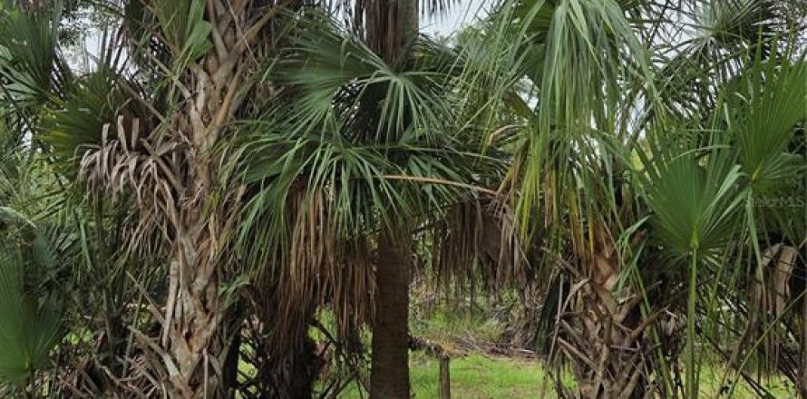 Land in Myakka City, Florida № 1879580