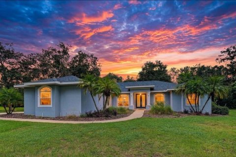 Villa ou maison à Lutz, Floride 3 chambres, 242.47 m2 № 2415404