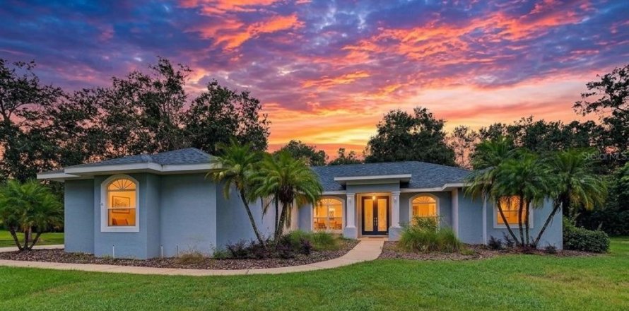 Villa ou maison à Lutz, Floride 3 chambres, 242.47 m2 № 2415404