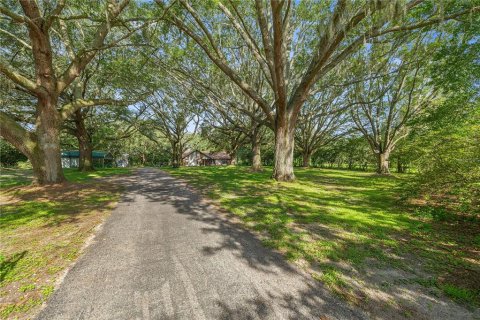 Villa ou maison à vendre à Ocala, Floride: 3 chambres, 236.9 m2 № 2221158 - photo 4