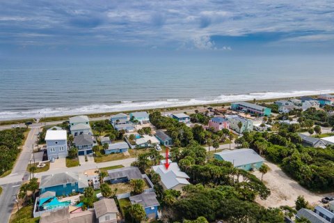 Villa ou maison à vendre à Flagler Beach, Floride: 6 chambres, 304.63 m2 № 2400408 - photo 5