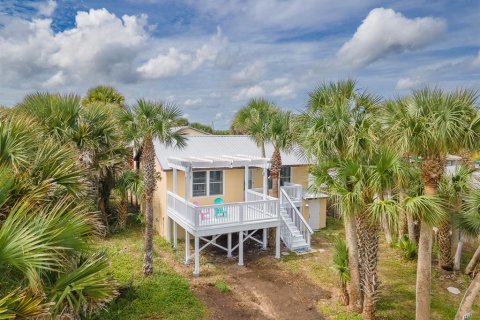 Villa ou maison à Flagler Beach, Floride 6 chambres, 304.63 m2 № 2400408