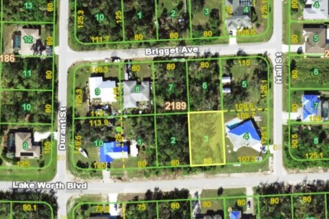 Land in Port Charlotte, Florida № 2160526