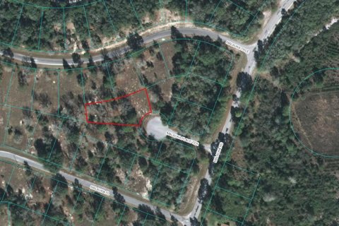 Land in Ocklawaha, Florida № 2162697