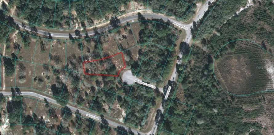 Terreno en Ocklawaha, Florida № 2162697