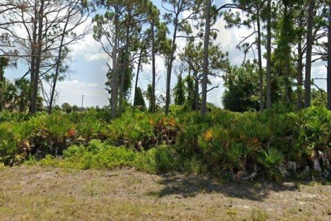 Land in Placida, Florida № 2164661