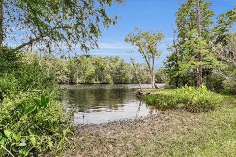 Villa ou maison à vendre à Yankeetown, Floride: 3 chambres, 225.1 m2 № 1774854 - photo 6