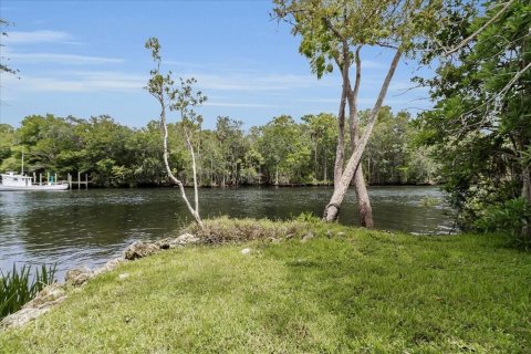 Casa en venta en Yankeetown, Florida, 3 dormitorios, 225.1 m2 № 1774854 - foto 8