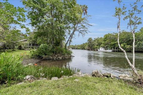 Villa ou maison à vendre à Yankeetown, Floride: 3 chambres, 225.1 m2 № 1774854 - photo 9