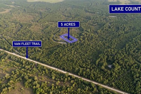 Land in Clermont, Florida № 2159508 - photo 3