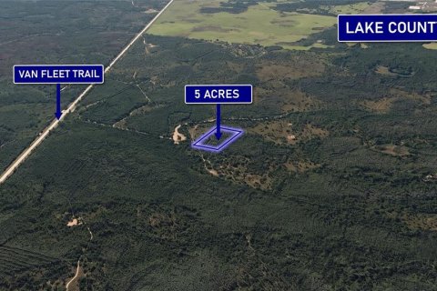 Land in Clermont, Florida № 2159508 - photo 4
