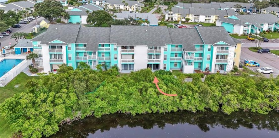 Condo in Palm Harbor, Florida, 2 bedrooms № 1866587