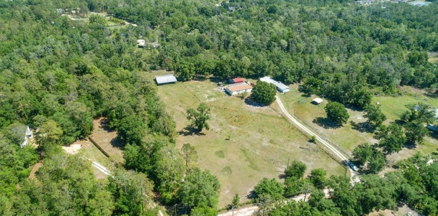 Villa ou maison à Wesley Chapel, Floride 3 chambres, 153.29 m2 № 2321184