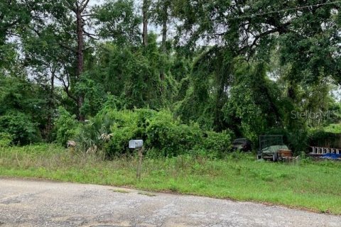 Land in Silver Springs Shores, Florida № 2160312 - photo 3