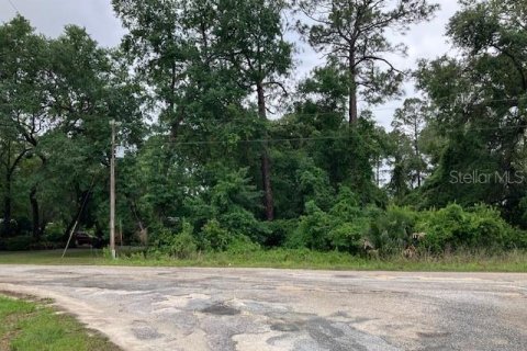 Land in Silver Springs Shores, Florida № 2160312 - photo 4