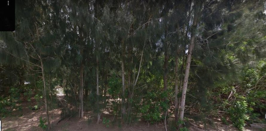 Terreno en Punta Gorda, Florida № 470449