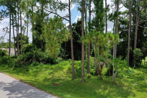 Land in Palm Coast, Florida № 2228182 - photo 20